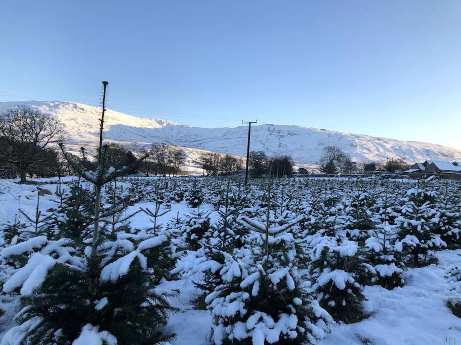 In The Hills Near Holiday home Dolgellau