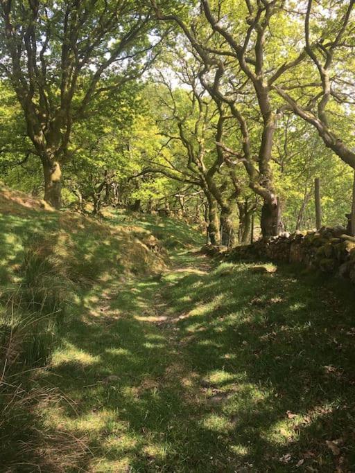 In The Hills Near *