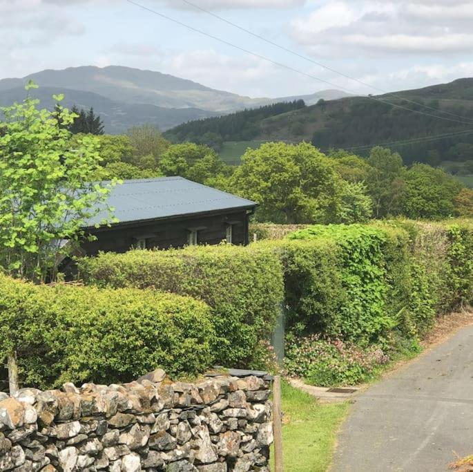 In The Hills Near Dolgellau